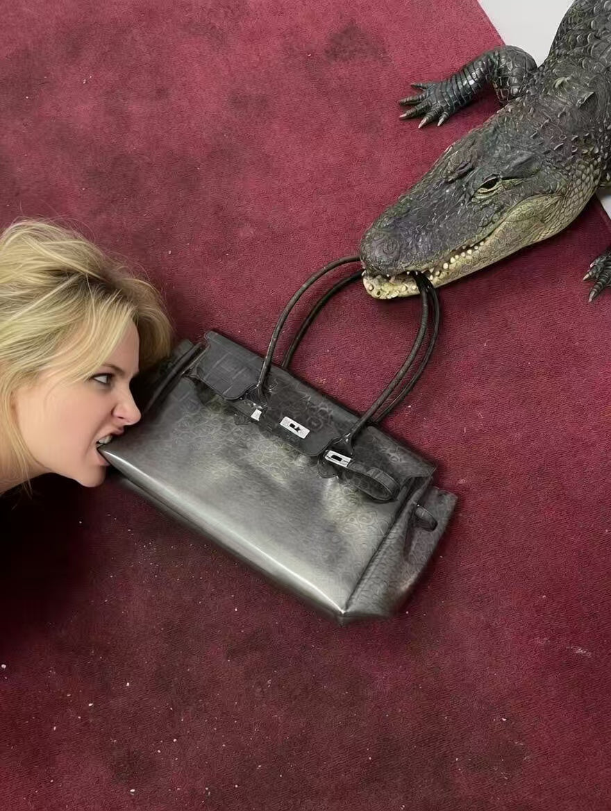 Corcodile Jelly Frikin