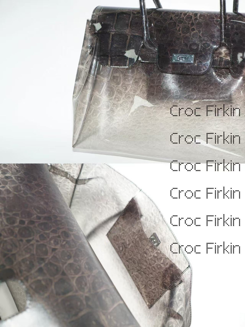 Corcodile Jelly Frikin